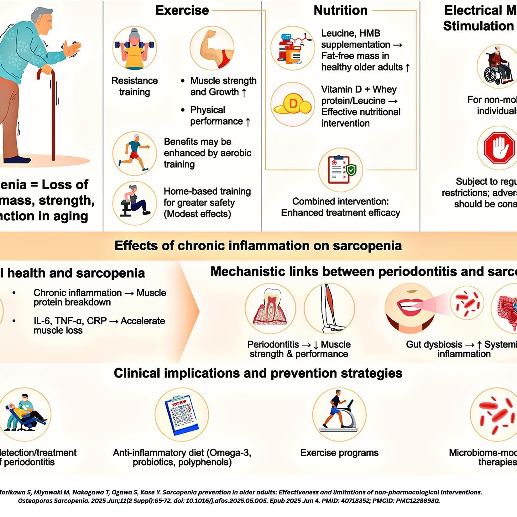 Sarcopenia prevention in older adults Treatment at Sunshine clinic main image