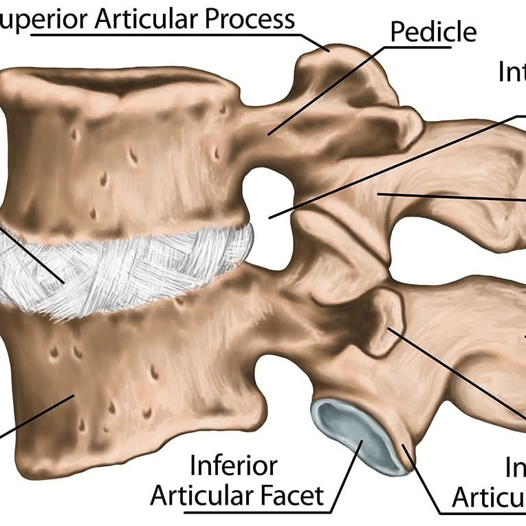 Brachialgia (Cervical Radiculopathy)  Treatment at Sunshine Clinic main image