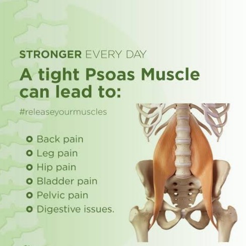 Low back Pain Treatment and Exercise at Sunshine Clinic main image