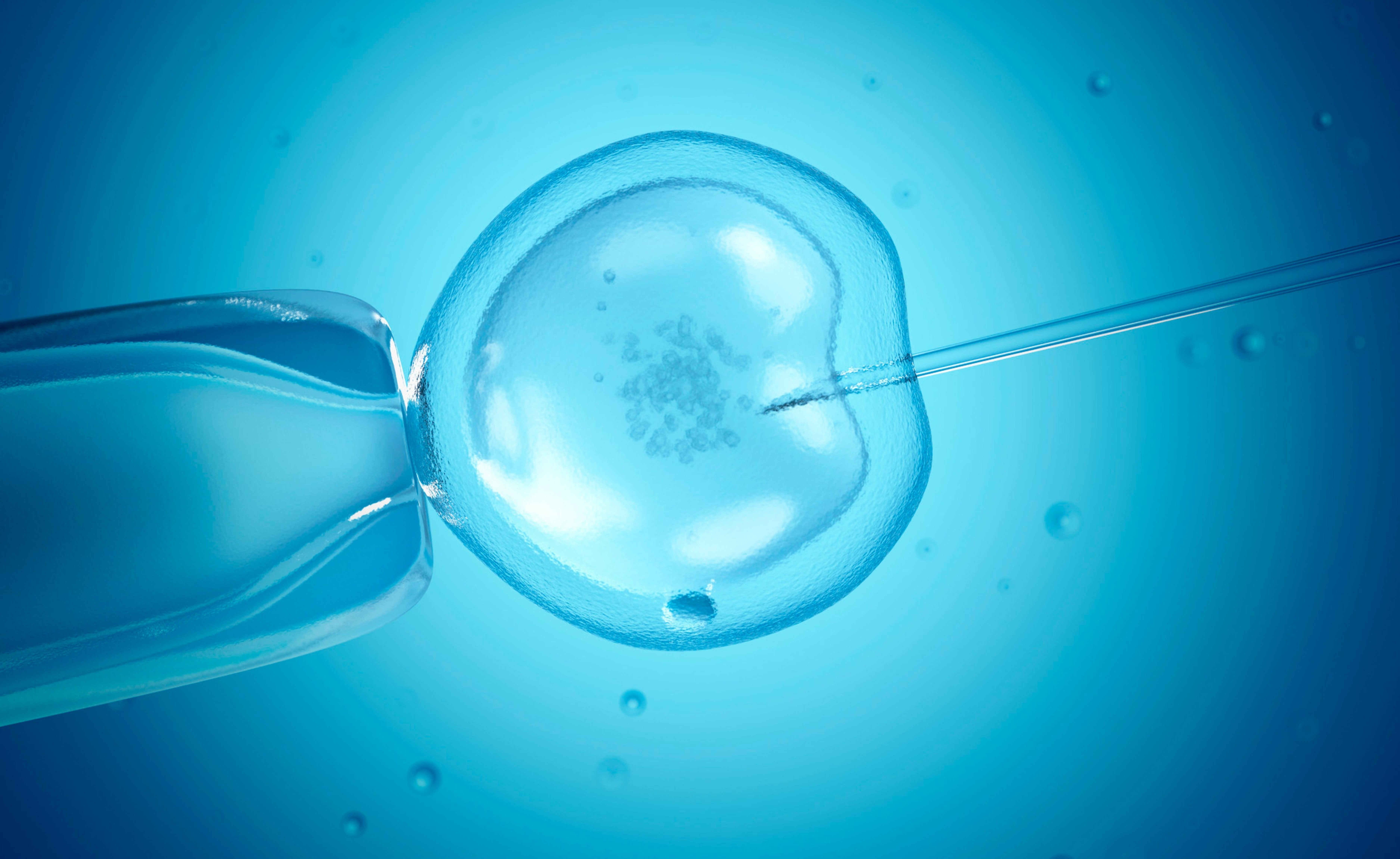 Best IVF Clinic in Chennai – Where Hope Meets Expertise main image