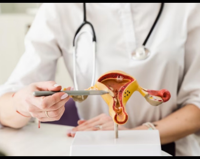 IUI Treatment in Chennai – Targeted Fertility Approach with Higher Success main image