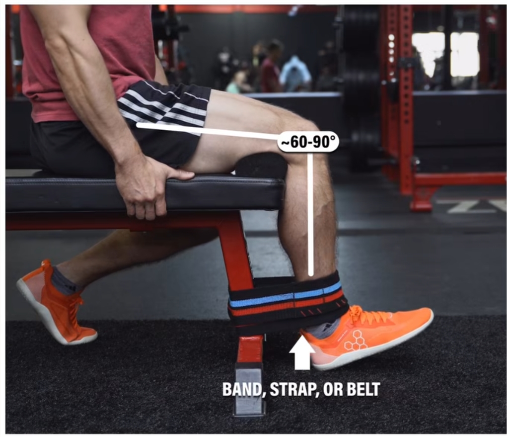 Patellar Tendinopathy Treatment at Sunshine Clinic main image