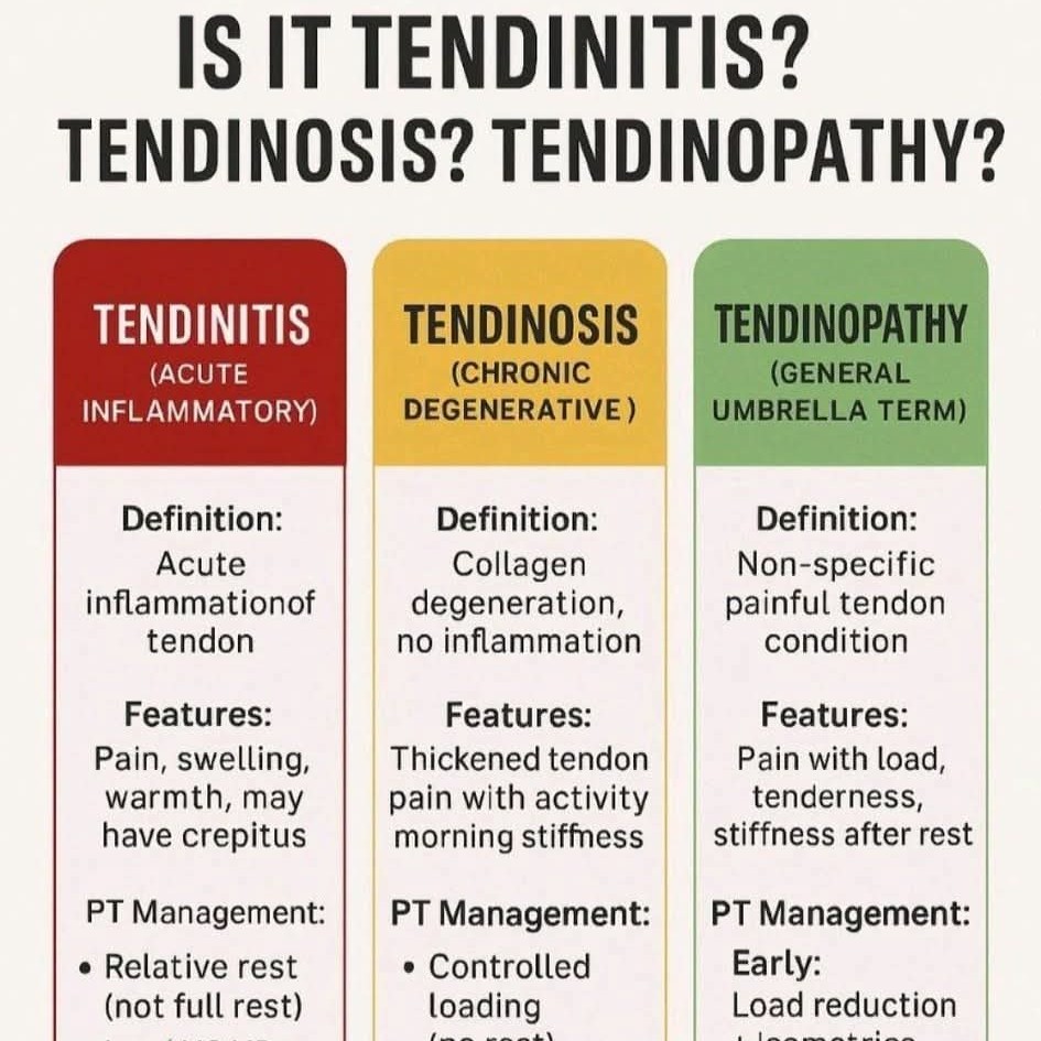 What is Tendinitis, Tendenosis & Tendinopathy? Treatment at Sunshine Clinic main image