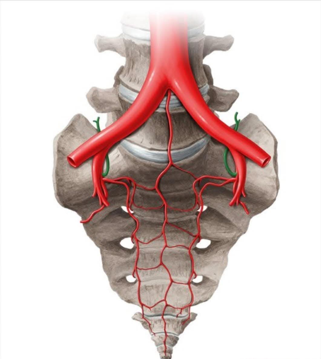 sacroiliac joint issues treatment at Sunshine Clinic main image