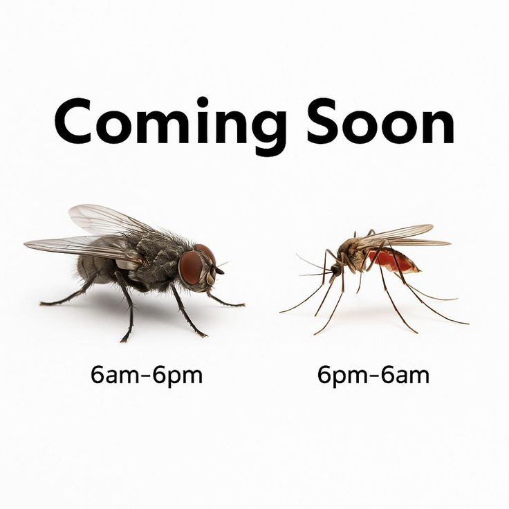 Updates