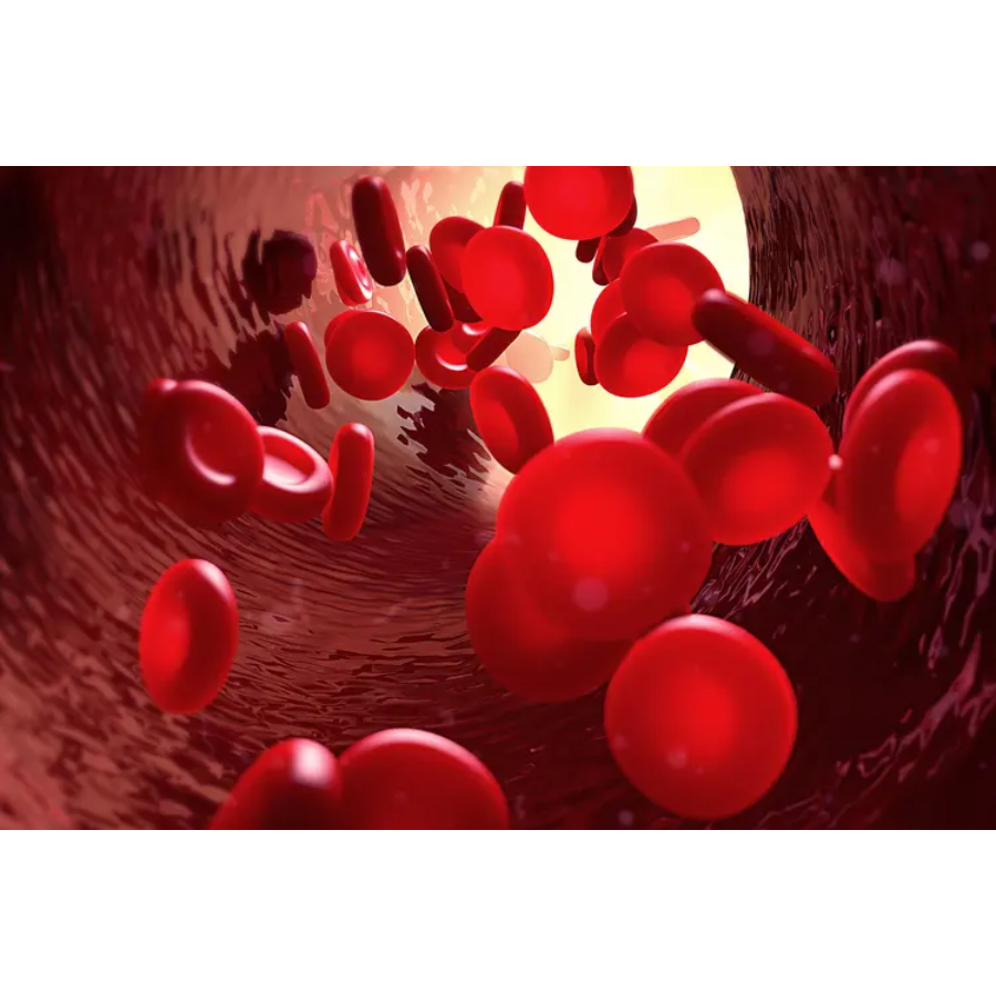 Can Thalassemia Be Treated with the Help of IVF Through PGT-M? main image