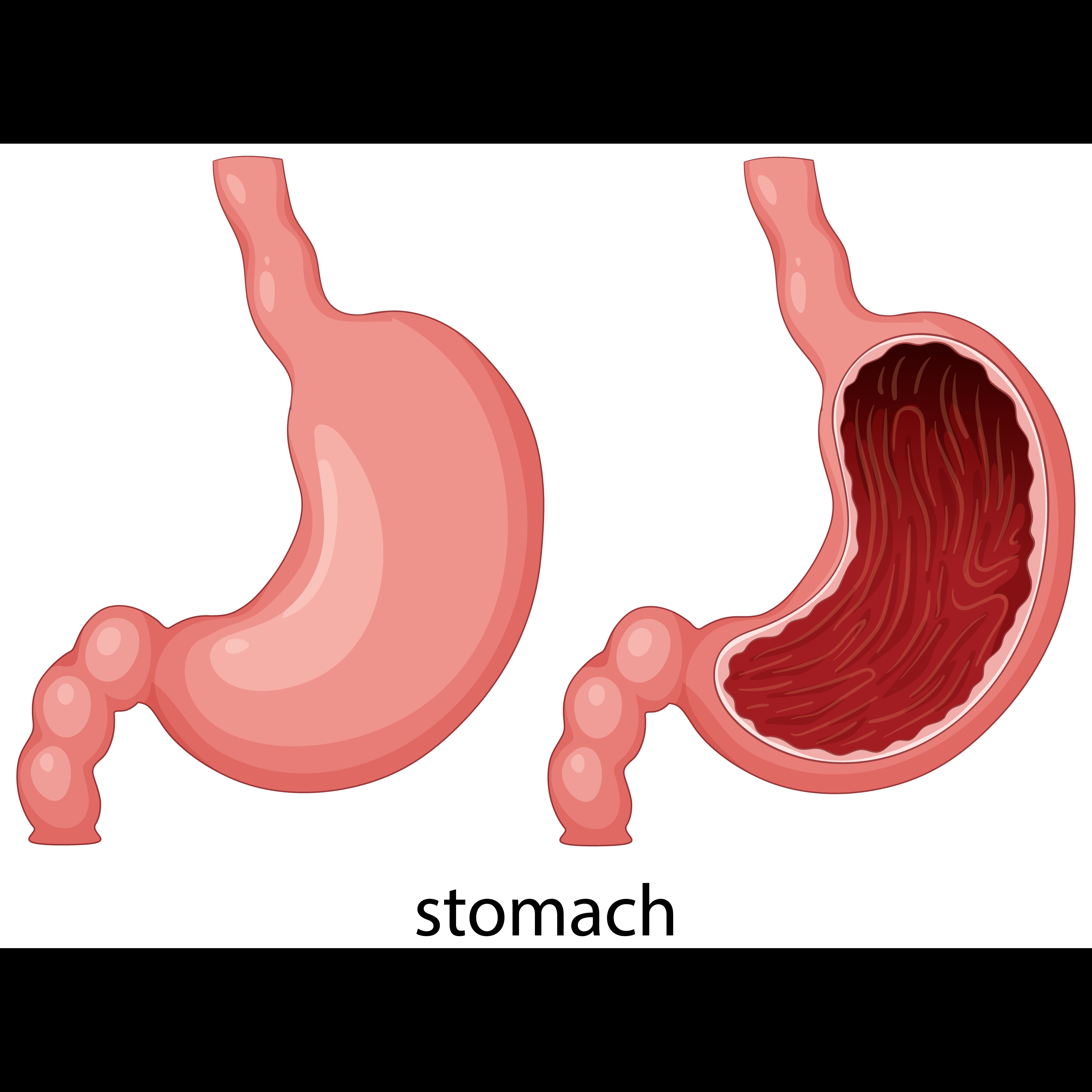  Bariatric Surgery in Pune – A Healthier Path to Sustainable Weight Loss main image