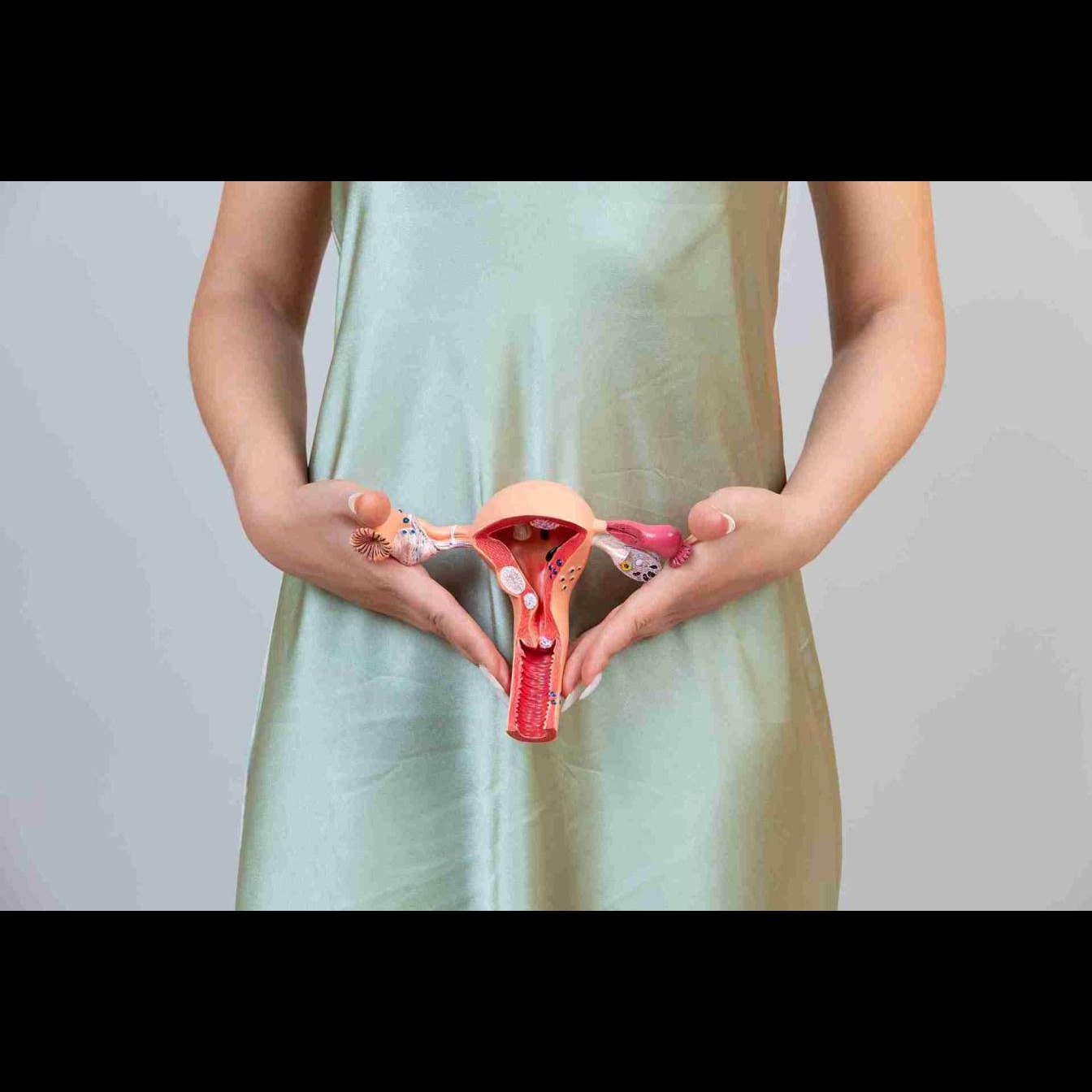 Ways to Improve Endometrial Thickness for IVF Success main image