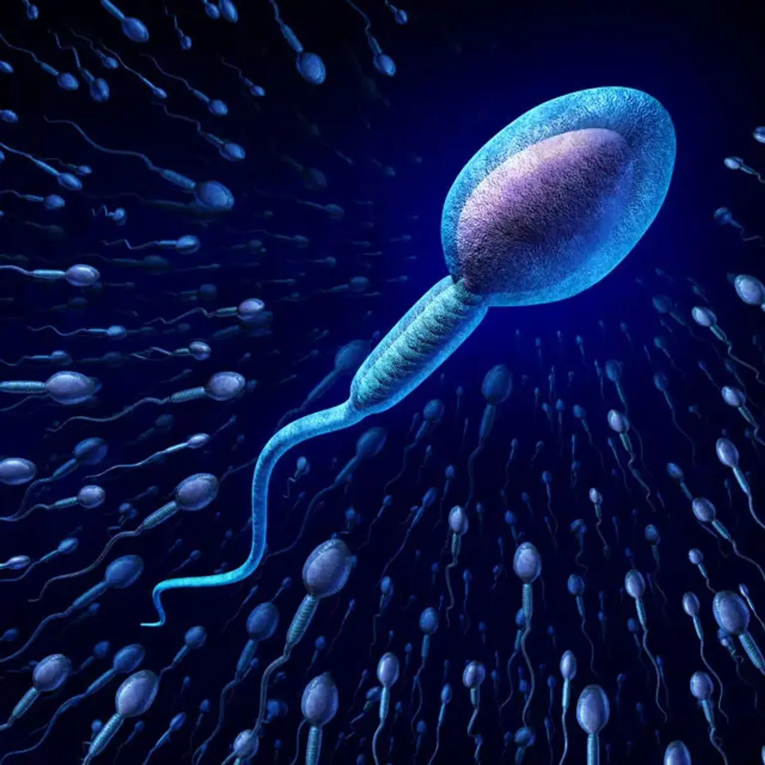 IVF Hospital in Coimbatore Open Now! main image