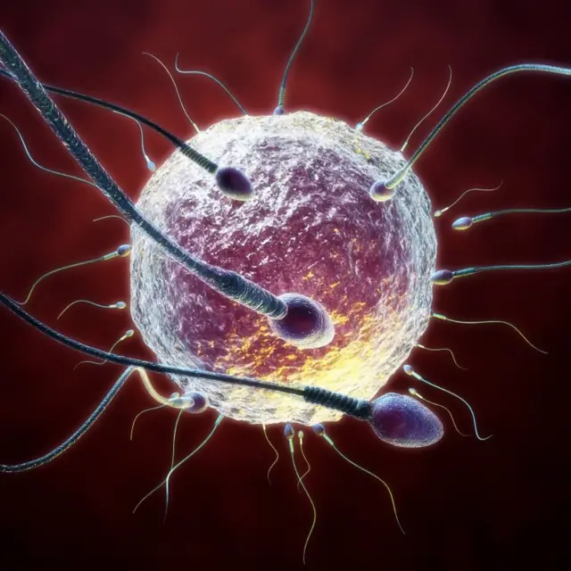 Best IVF hospital in Coimbatore main image