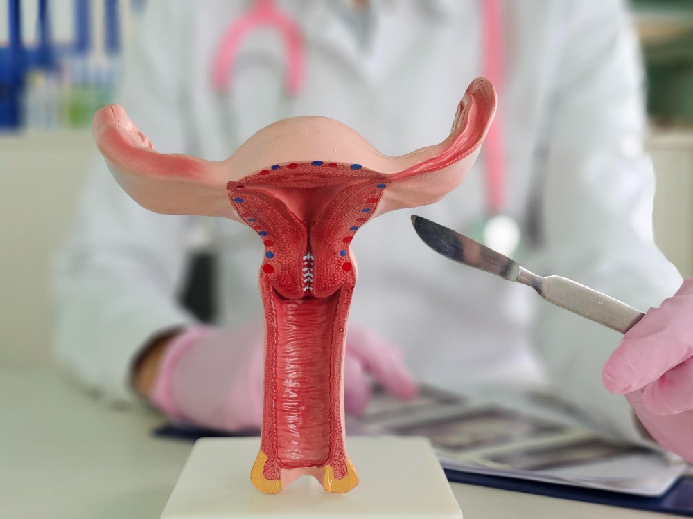 Cervical Cerclage in Nagpur main image