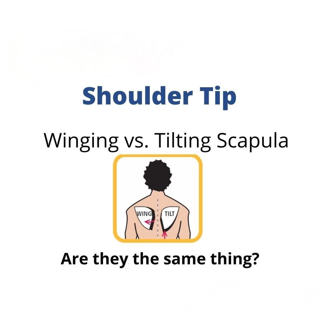 Winging or Tilting Scapula? Treatment at Sunshine Clinic main image