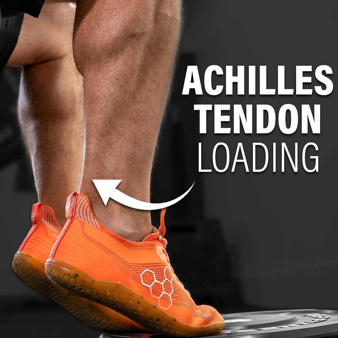 The Achilles tendon connects your primary calf muscles, the gastrocnemius and main image