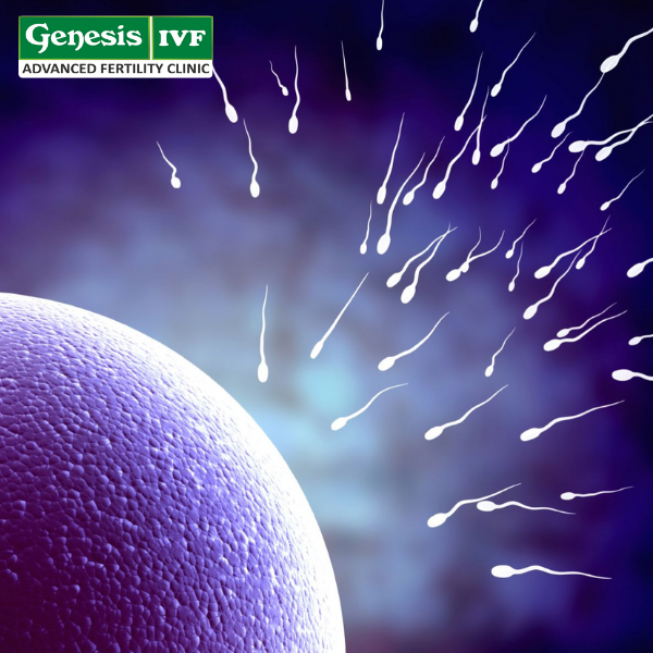 How to Make Sperm Stronger for Pregnancy? A Full Guide main image
