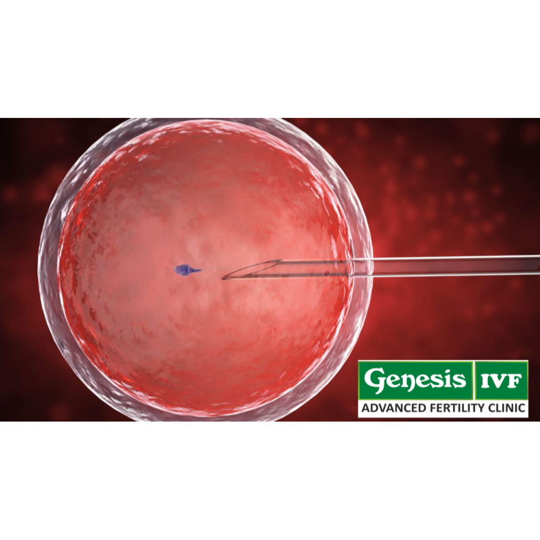 How Many IVF Cycles Are Usually Required to Get Pregnant? A Helpful Guide for Couples main image