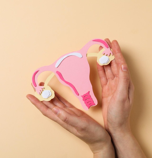 Ovulation Induction Treatment in Chennai – Triggering Natural Egg Release for Successful Conception main image