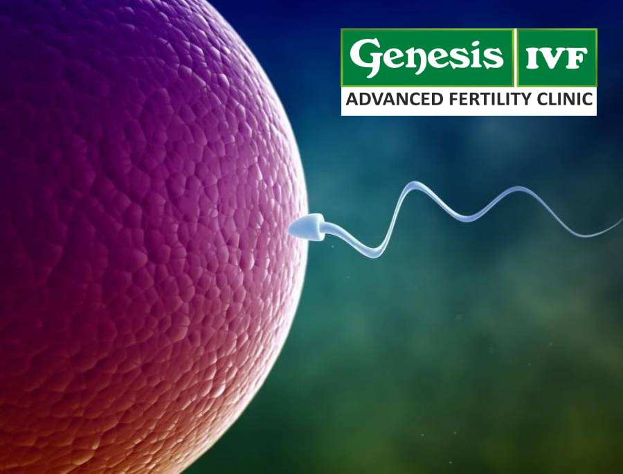 How to Make Sperm Stronger for Pregnancy?  - Genesis IVF Fertility Hospital in Coimbatore main image