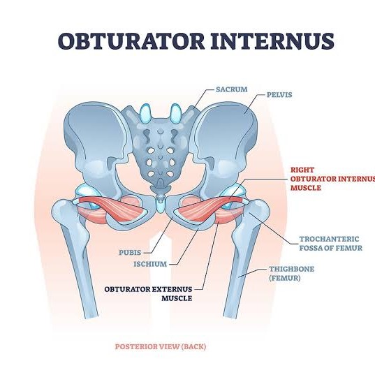 back pain treatment at Sunshine Clinic main image