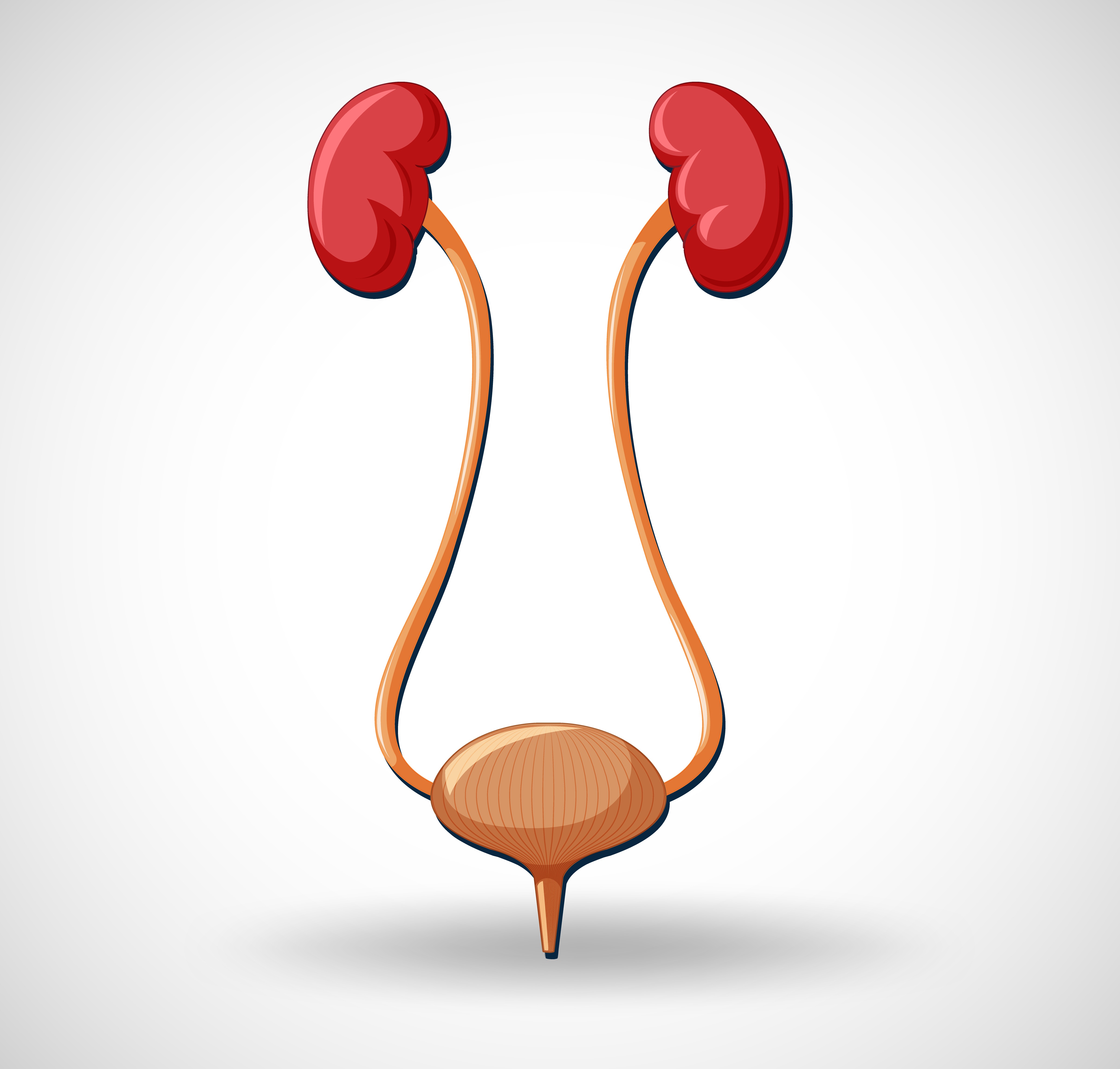 Best Urologist In Jaipur | Healthcare Clinic main image