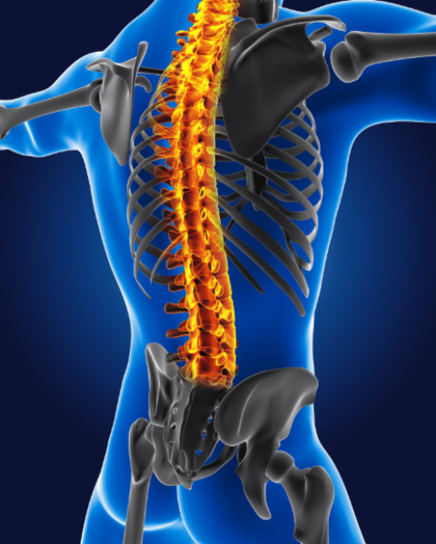 Neurosurgery & Spine in Dombivli – Advanced Care for Spine and Brain Conditions( near Ulhasnagar ) main image