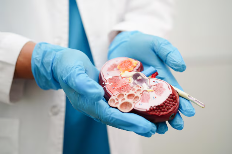  Best Kidney Transplant Surgeon In Jaipur | Advanced Surgery Center main image