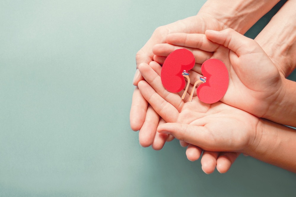  Best Kidney Transplant Doctor In Jaipur | Nephrology and Surgery main image