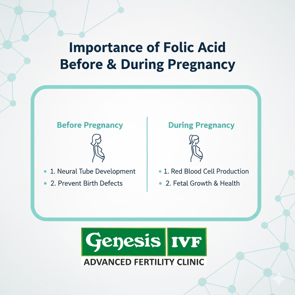 Importance of Folic Acid Before & During Pregnancy - Genesis IVF Fertility Hospital in Coimbatore main image