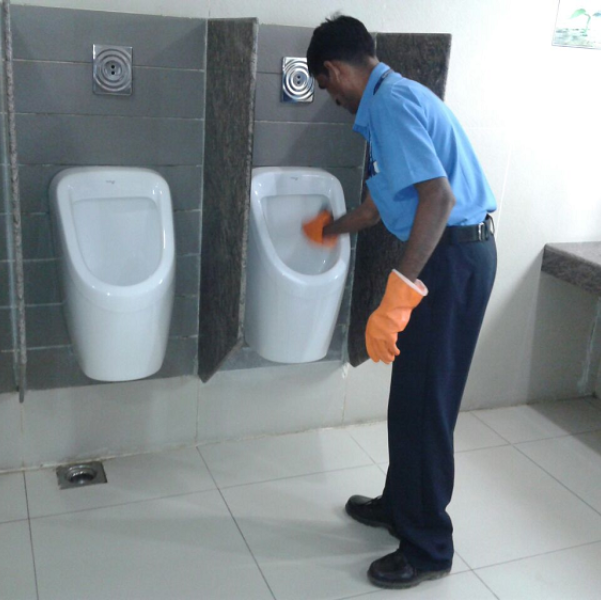 We provide