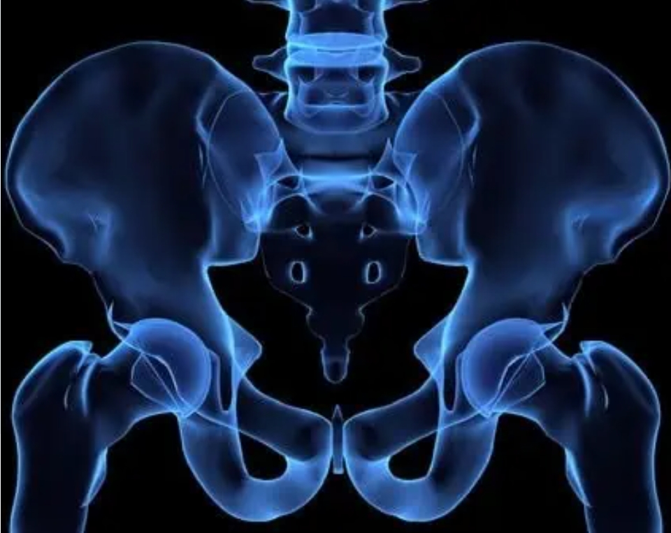 Hip joint pain and physiotherapy treatment at Sunshine Super Speciality Physiotherapy Clinic main image