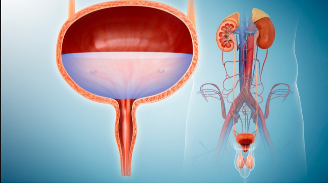 Best Urologist In Rajapark Jaipur Personalized Care Close To Home main image