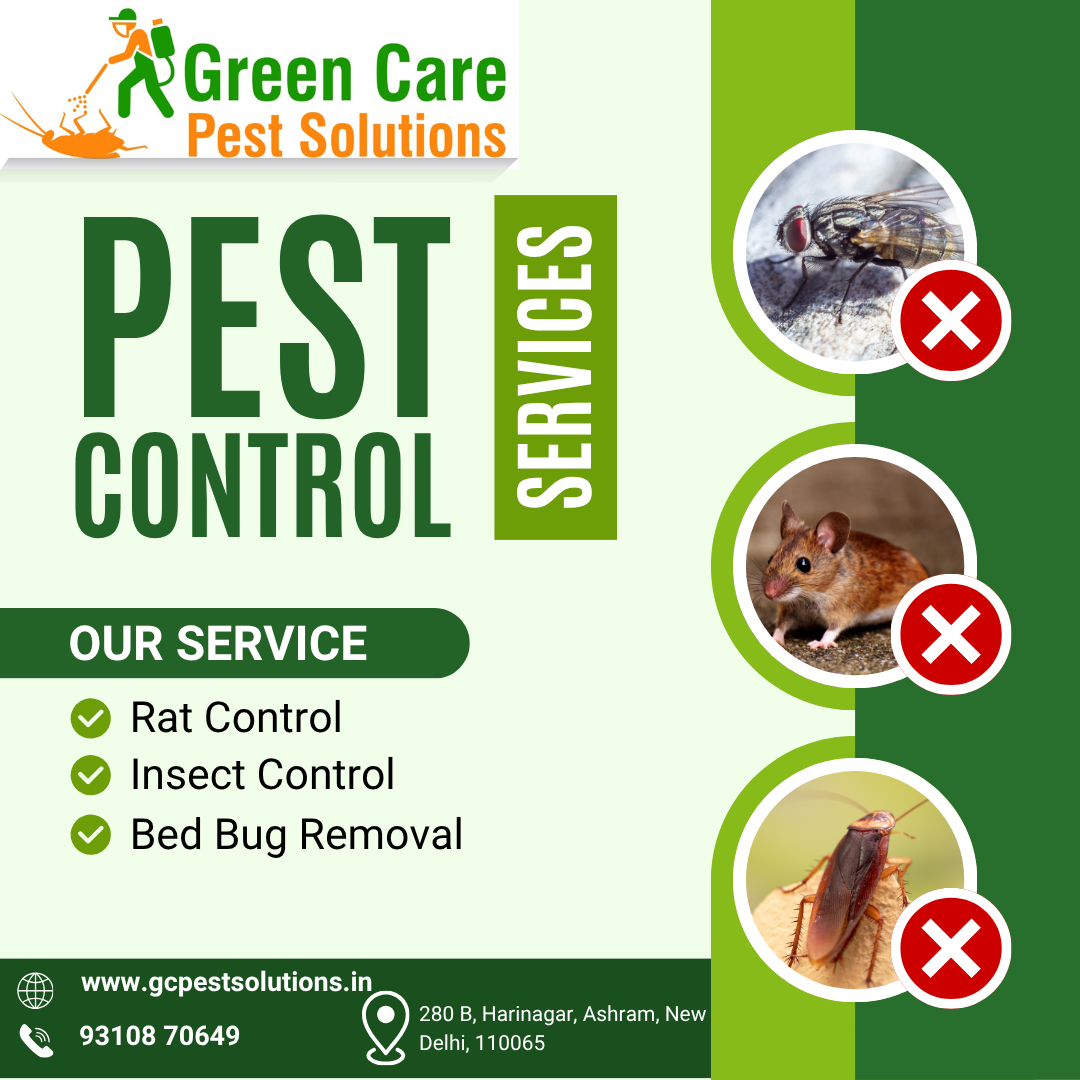 Bed Bug Co