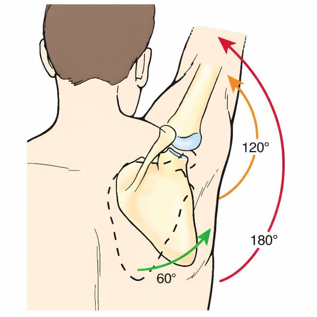 Shoulder joint pain and physiotherapy treatment at Sunshine Super Speciality Physiotherapy Clinic main image