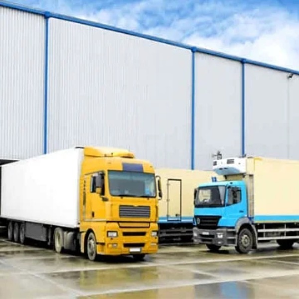 logistic S