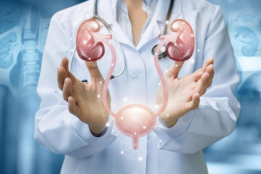 Urology in Kalyan East – Addressing Urinary Health with Discreet Expertise main image