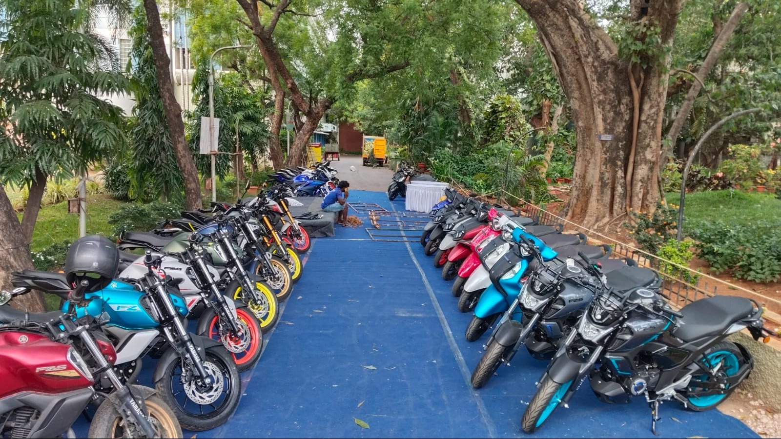 the best Y