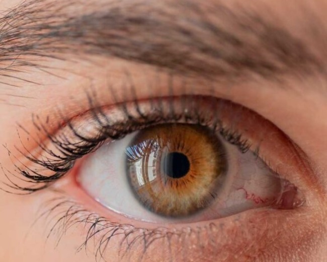 Eye Doctor Near Me In Salem  main image