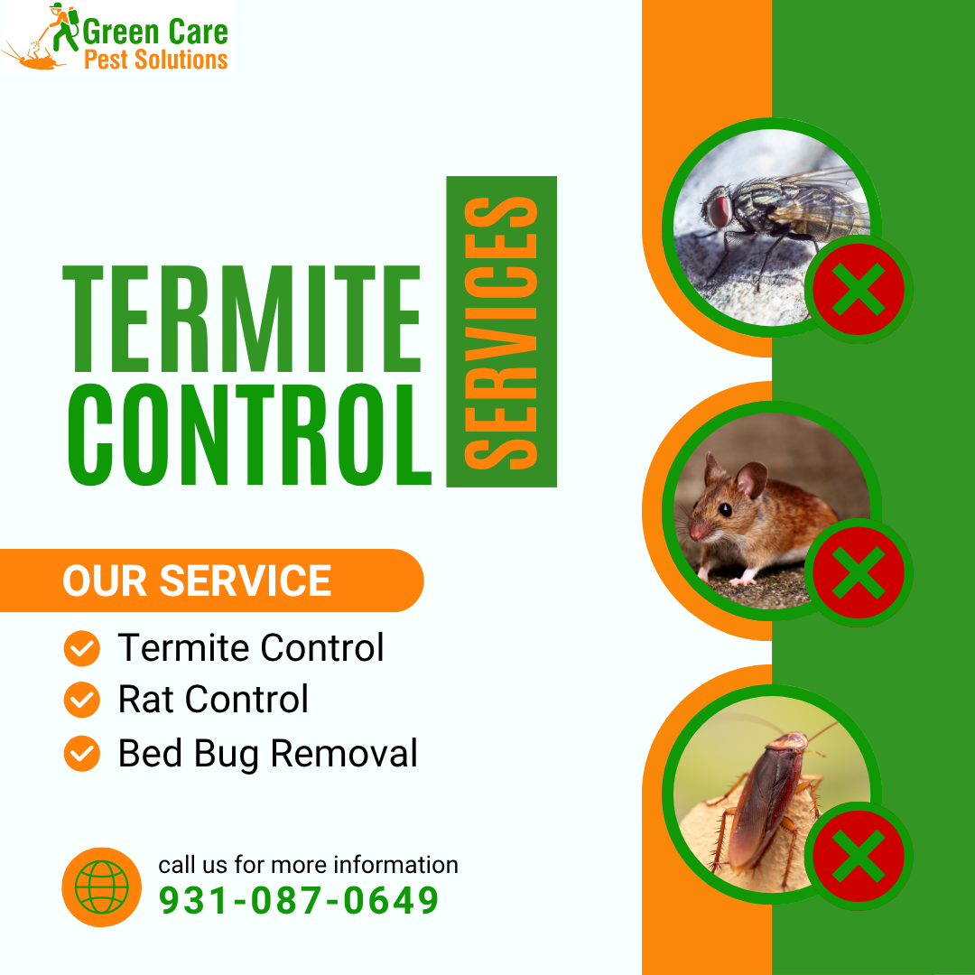 Termite Co