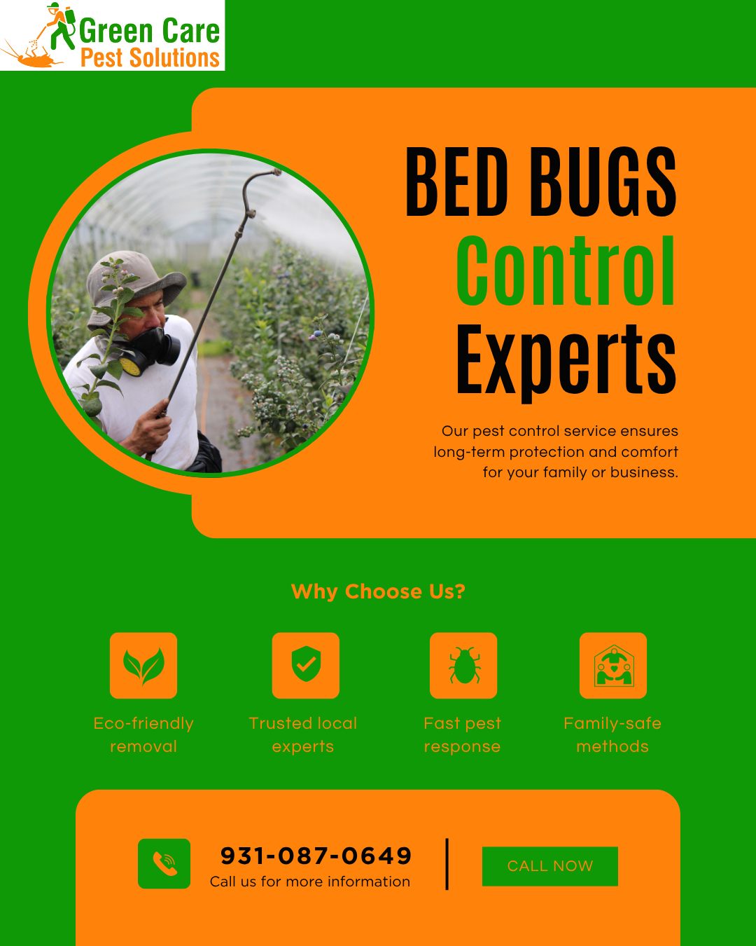 Bed Bugs C