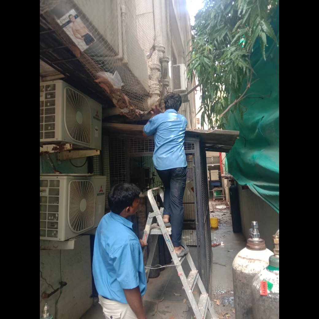 we provide