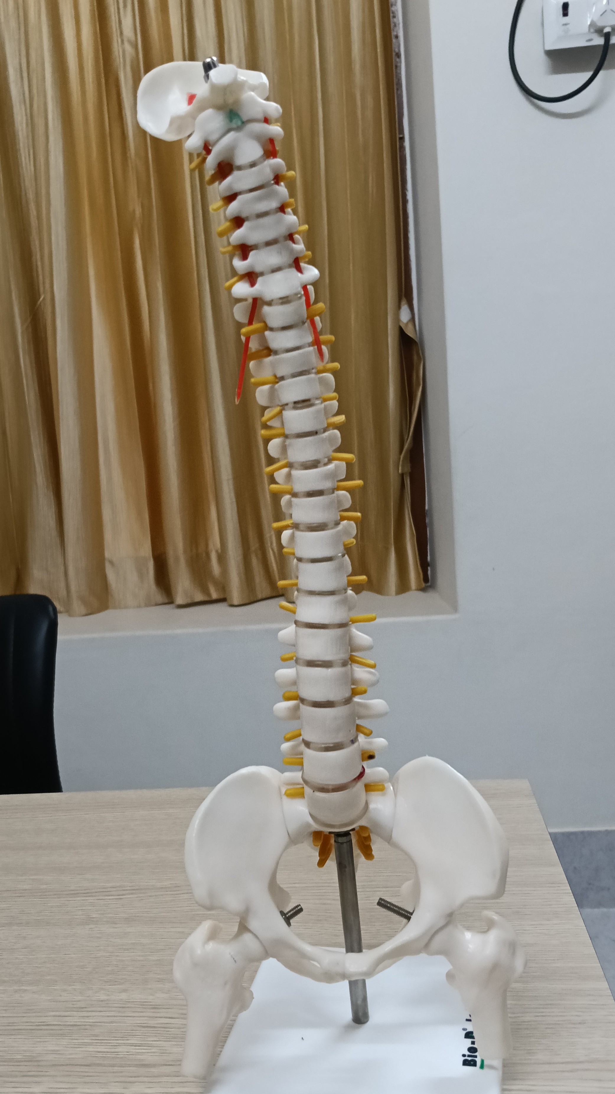 spine specialist trichy main image