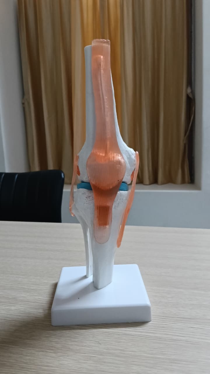 Orthopedic surgeon in Cantonment main image