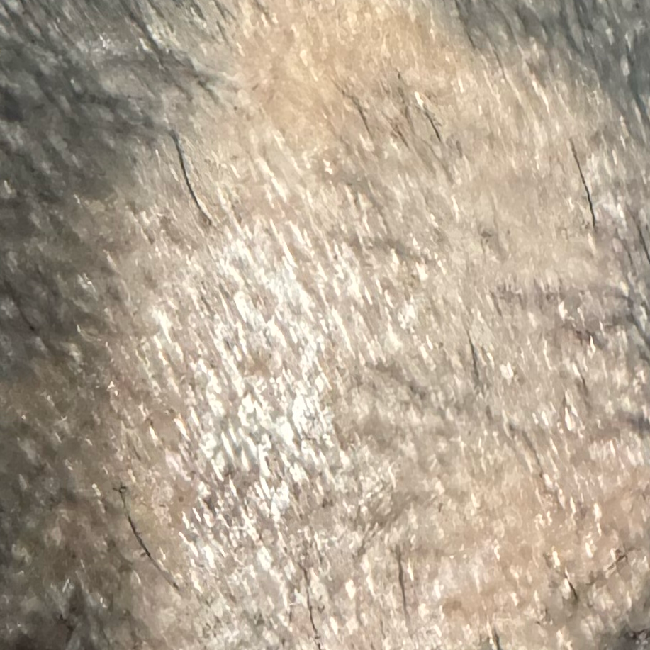 Vibha skin