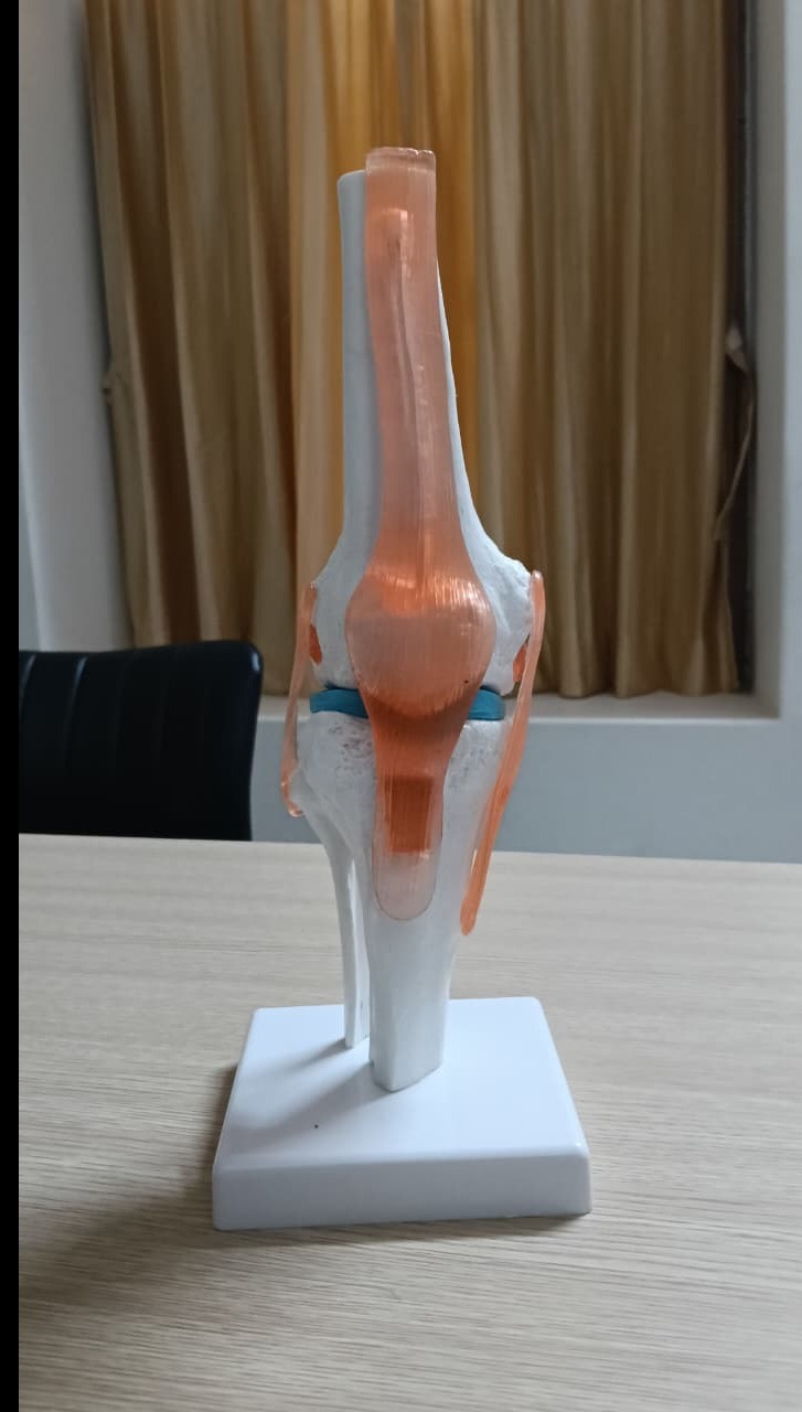 Ortho care Tennur main image