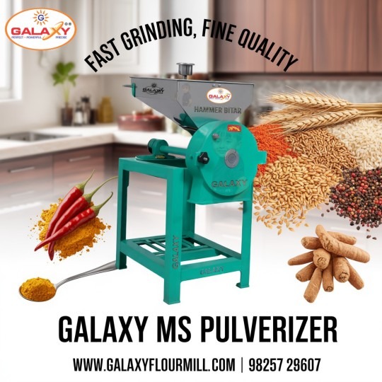 Spice Grinding Plant Manufacturer in Uttar Pradesh | Galaxy Food Machinery