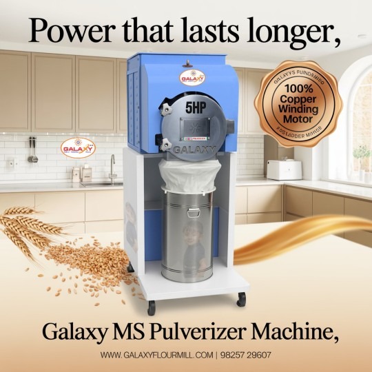 Industrial Spice Processing Machine Dealer | Galaxy Food Machinery