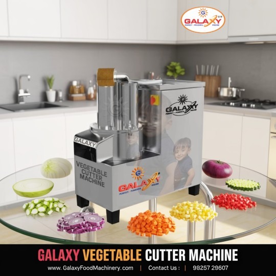 Automatic Food Processing Machine Supplier in India | Galaxy Food Machinery