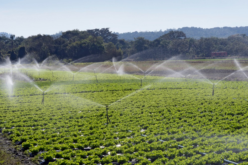 Why Modern Irrigation Systems Are Essential for Water-Efficient Landscaping Projects