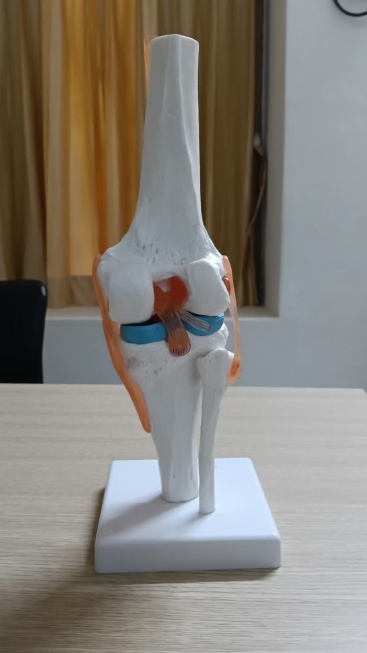 Joint pain center KK Nagar main image