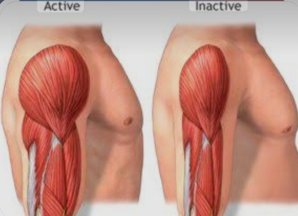 Sarcopenia main image