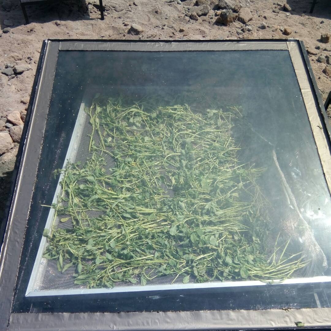 Commercial Solar Dryer in Purnia, Bihar for Makhana, Maize, Jute & Food Processing